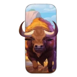 Buffalo
King